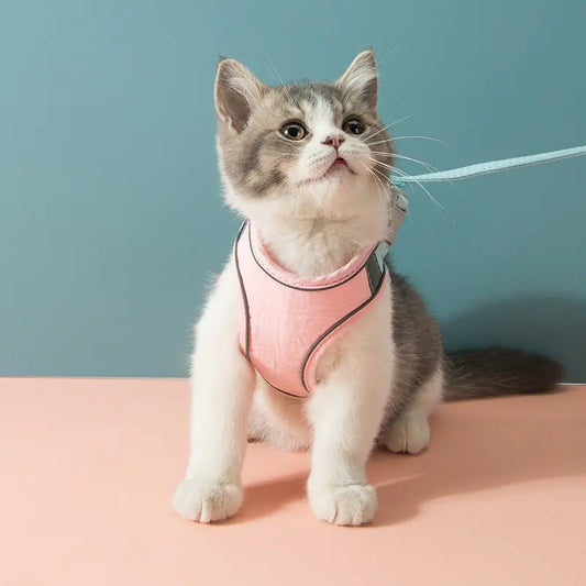 Purrfectly Safe™ Cat Harness